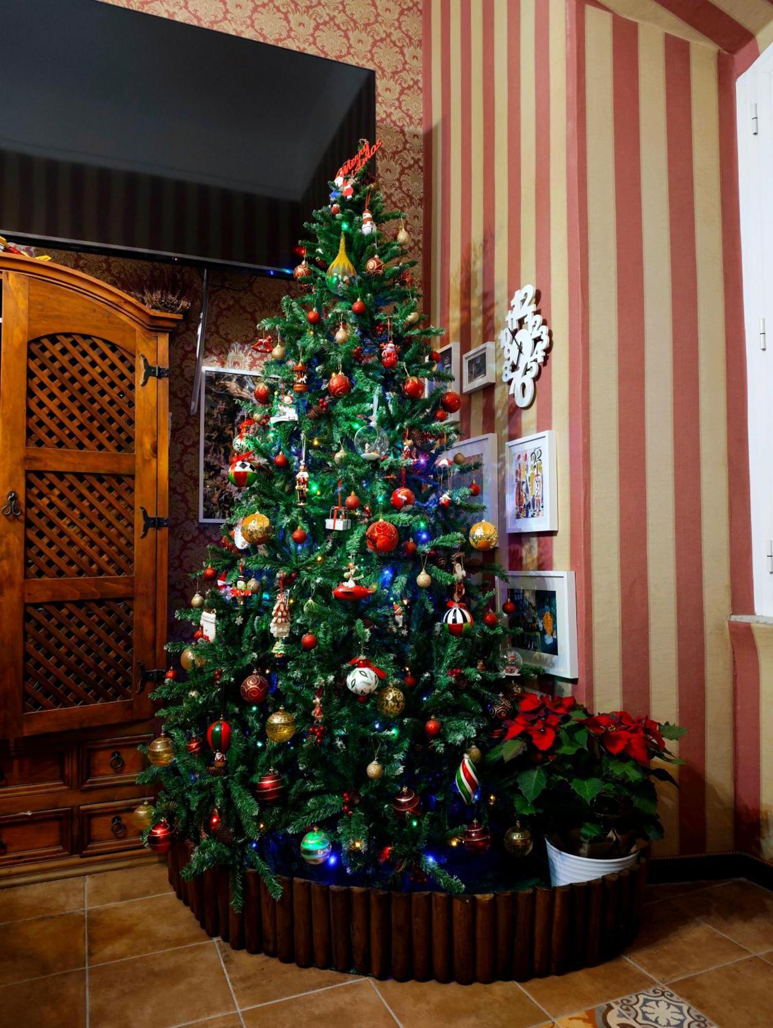 Da Augusto Bed & Breakfast